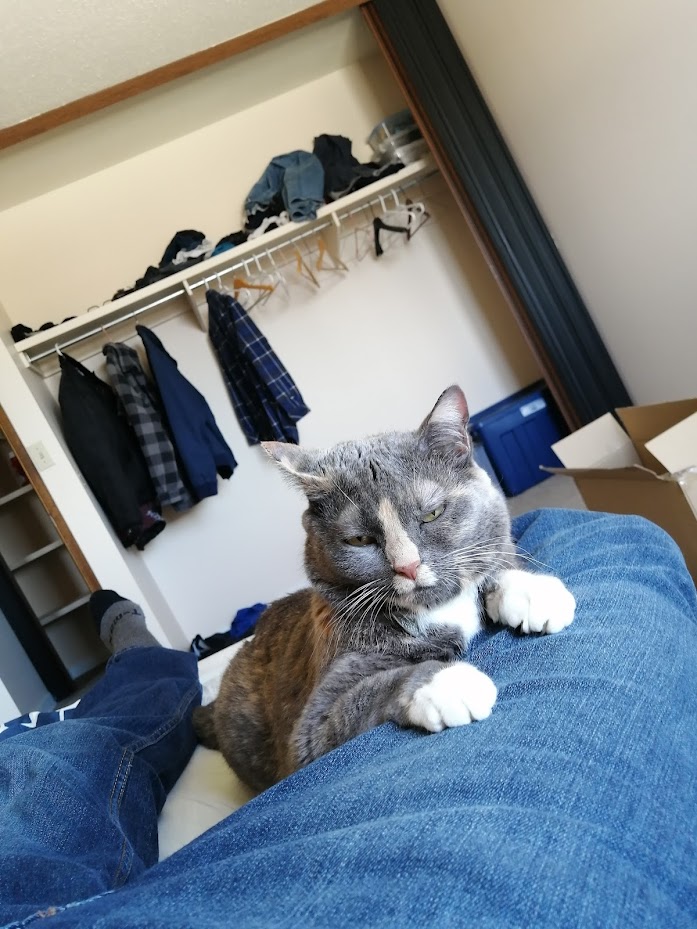Candy lounging