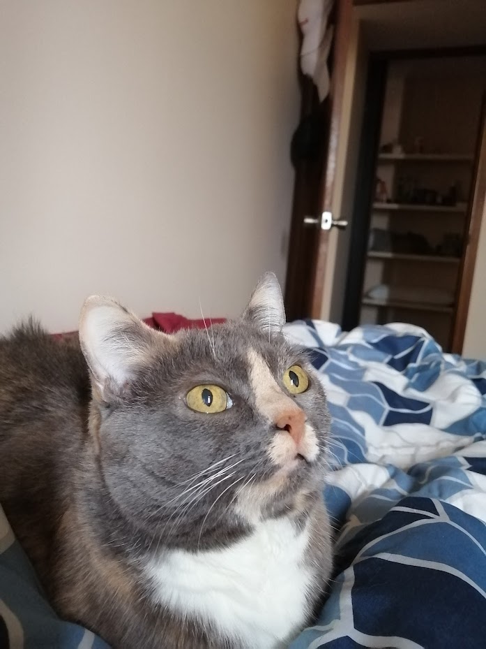 Candy portrait
