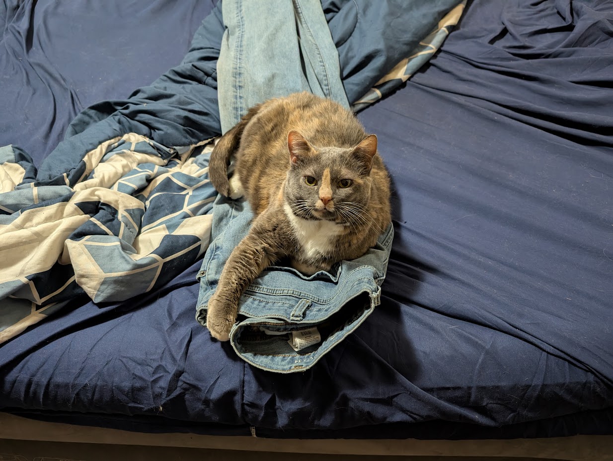 Candy relaxing